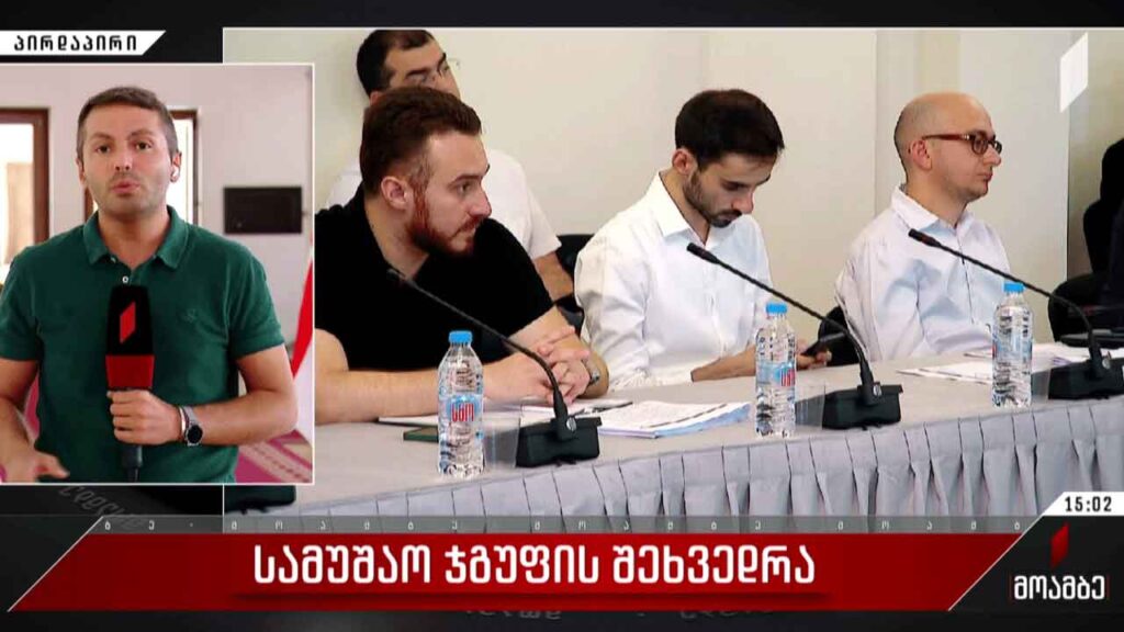 სამუშაო ჯგუფის შეხვედრა პარლამენტში
