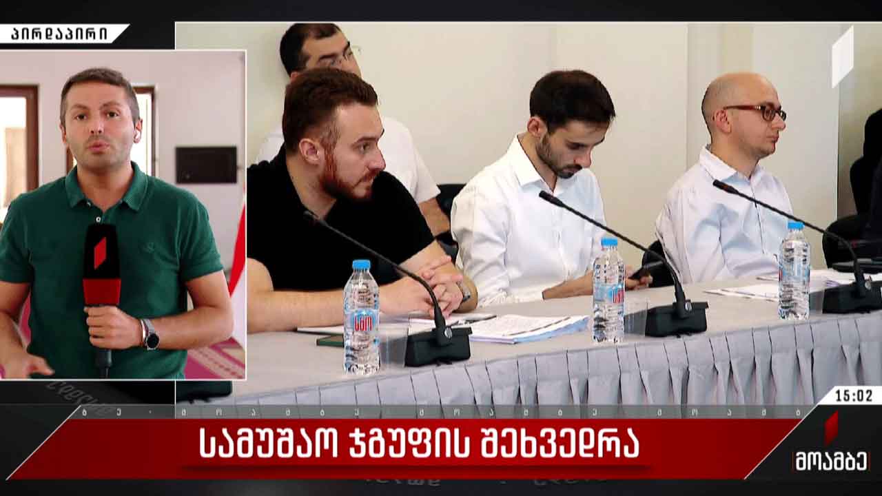 სამუშაო ჯგუფის შეხვედრა პარლამენტში