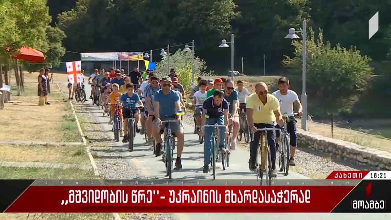 „მშვიდობის წრე“ - უკრაინის მხარდასაჭერად