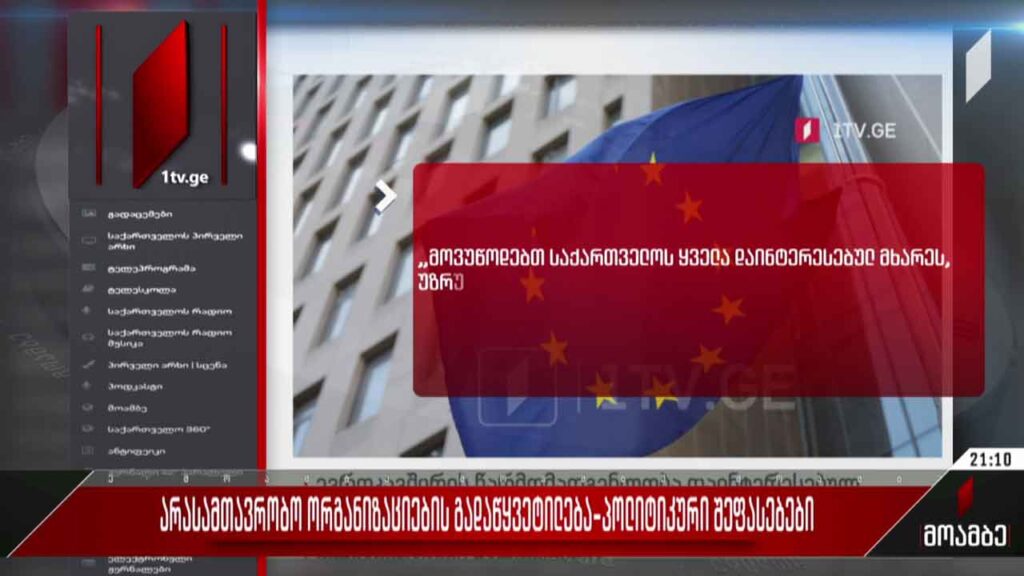 არასამთავრობო ორგანიზაციების გადაწყვეტილება – პოლიტიკური შეფასებები