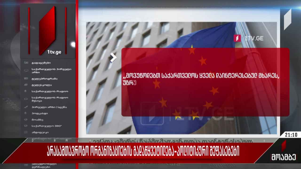 არასამთავრობო ორგანიზაციების გადაწყვეტილება - პოლიტიკური შეფასებები