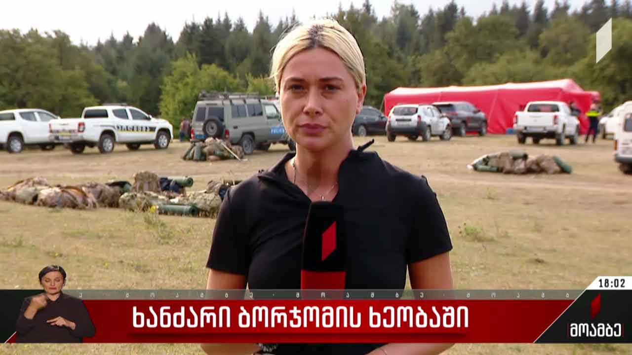 ხანძარი ბორჯომის ხეობაში