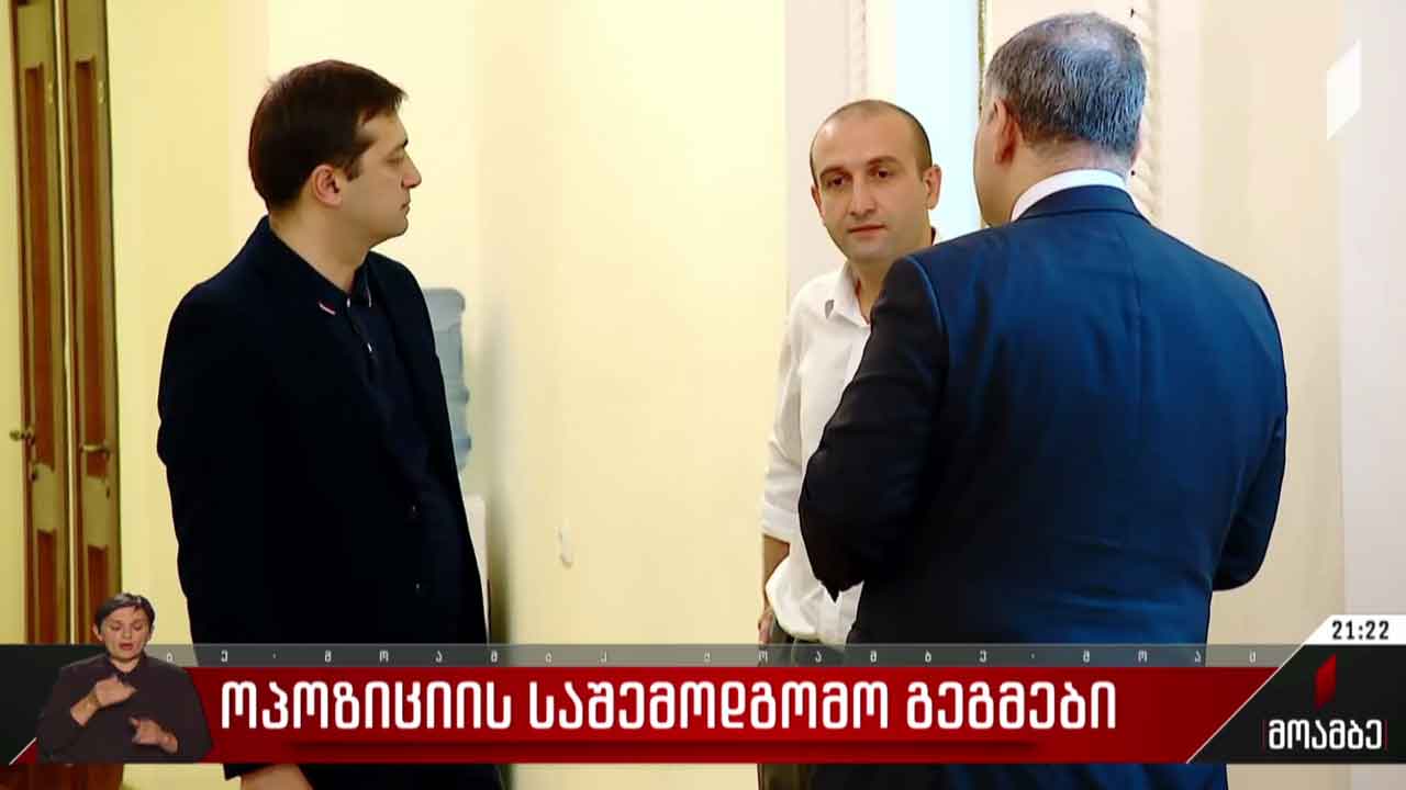 ოპოზიციის საშემოდგომო გეგმები