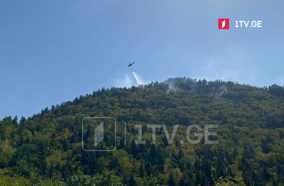 ხანძარი ბორჯომის ტყეში