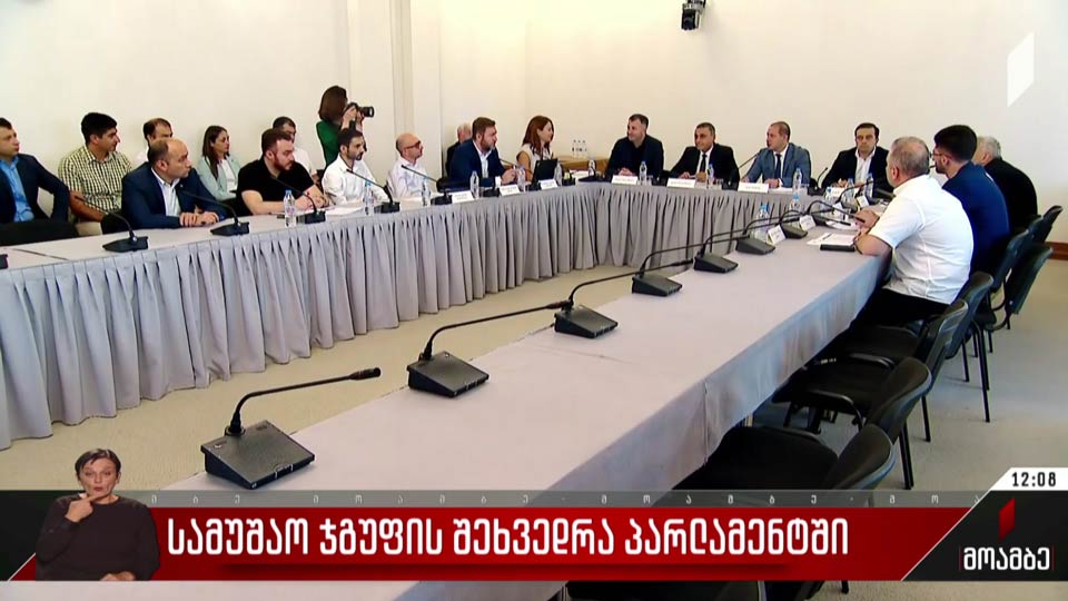 სამუშაო ჯგუფის შეხვედრა პარლამენტში