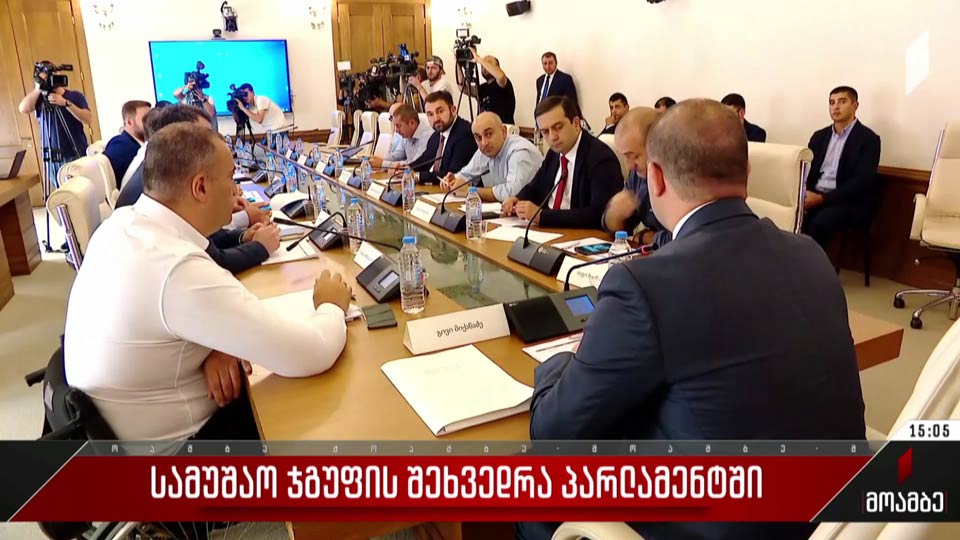 სამუშაო ჯგუფის შეხვედრა პარლამენტში