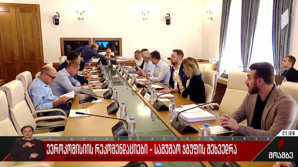 ევროკომისიის რეკომენდაციები - სამუშაო ჯგუფის შეხვედრა