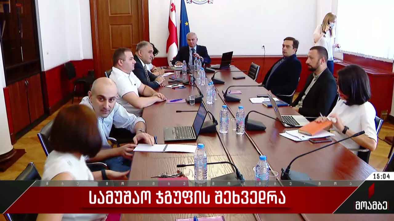 სამუშაო ჯგუფის შეხვედრა