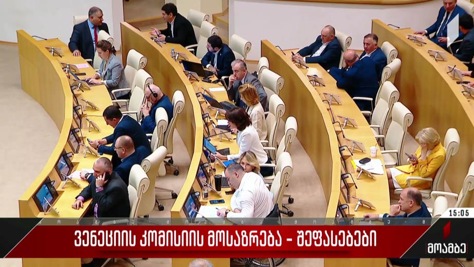 ვენეციის კომისიის მოსაზრება - შეფასებები
