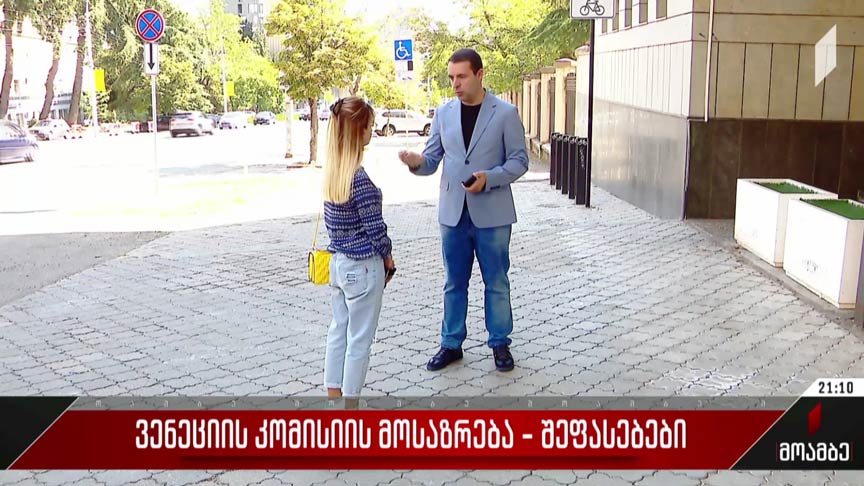 ვენეციის კომისიის მოსაზრება - შეფასებები