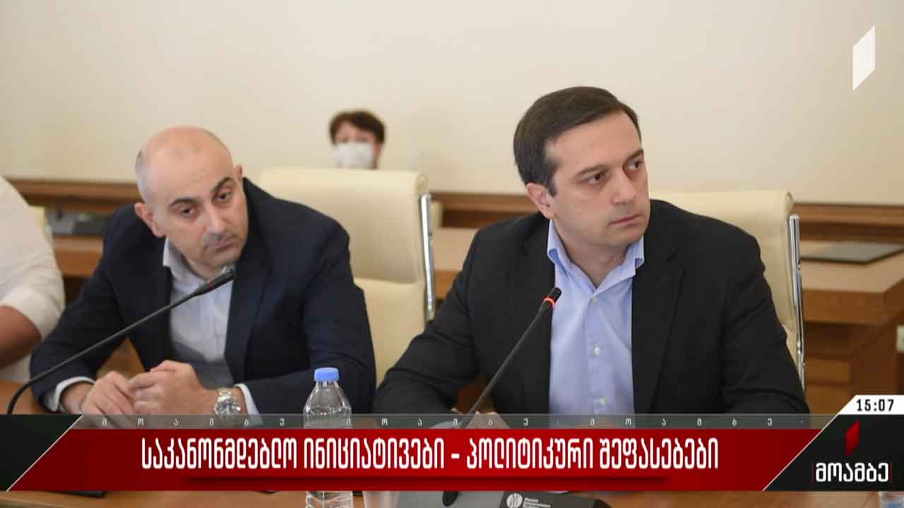 საკანონმდებლო ინიციატივები - პოლიტიკური შეფასებები