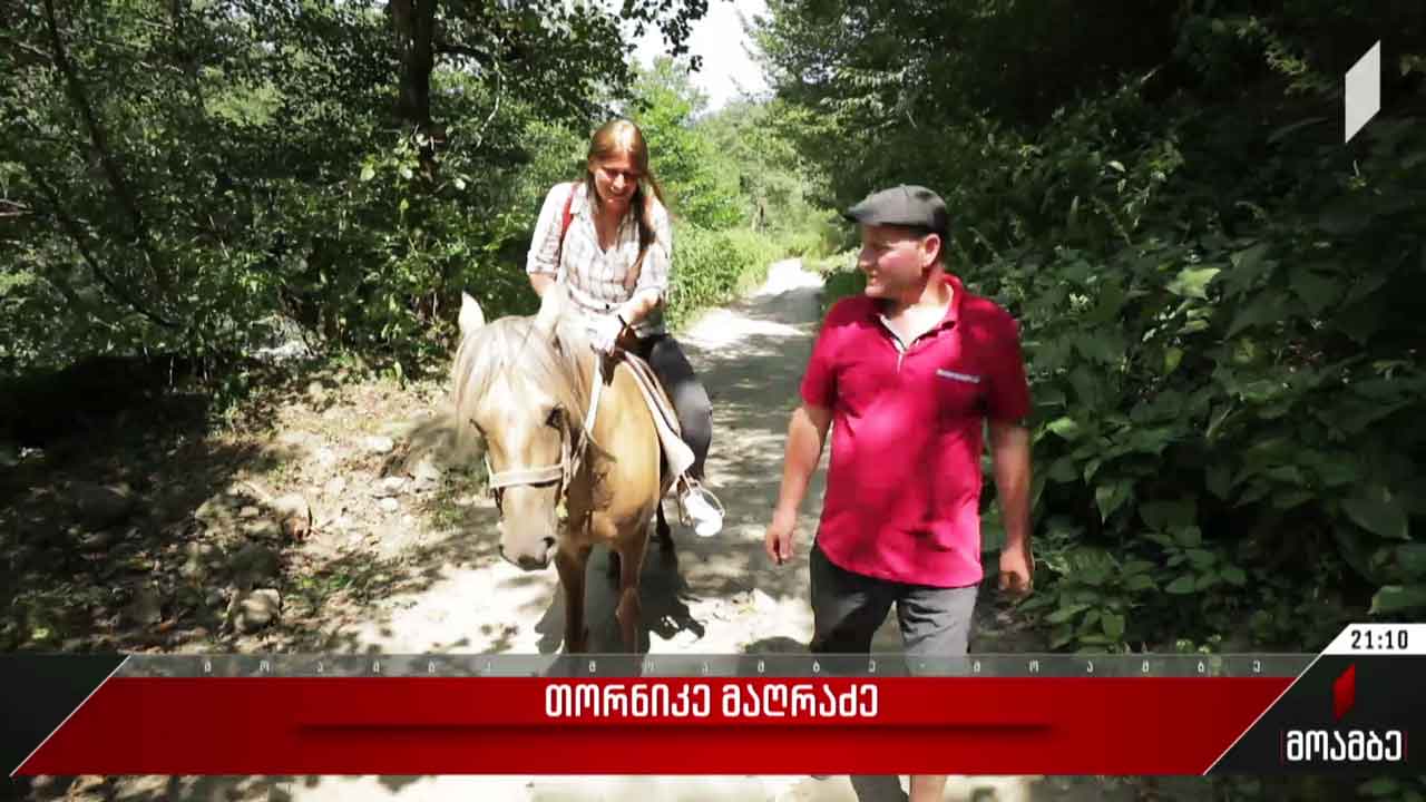 ბორჯომ-ხარაგაულის პარკის ბიომრავალფეროვნება