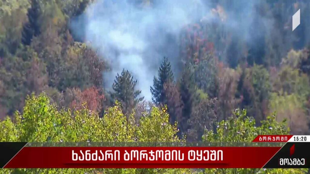 ხანძრის სალიკვიდაციო სამუშაოები ბორჯომში