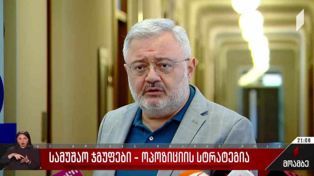 სამუშაო ჯგუფები – ოპოზიციის სტრატეგია