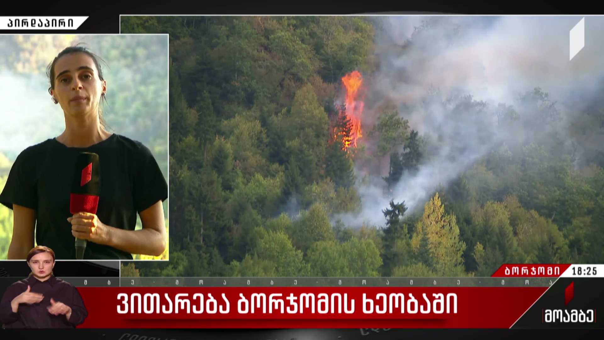 ვითარება ბორჯომის ხეობაში