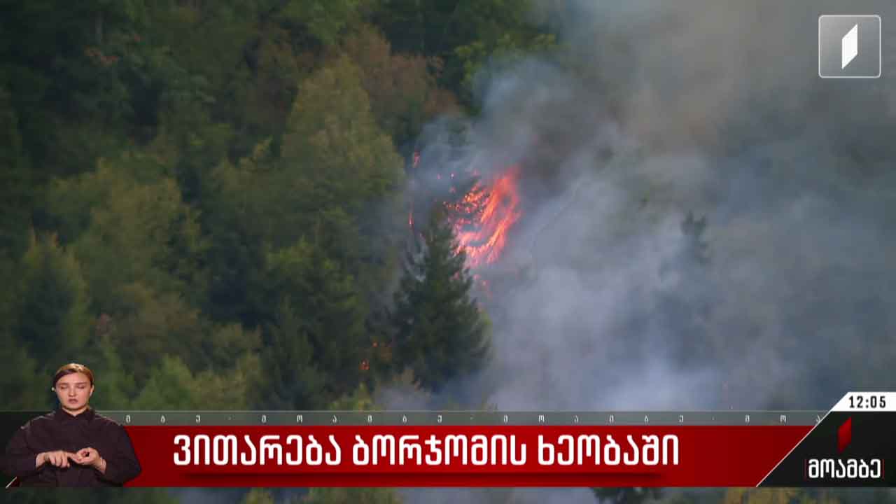 ვითარება ბორჯომის ხეობაში
