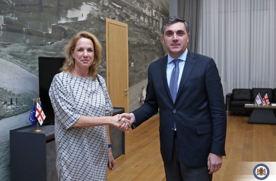 ილია დარჩიაშვილი ისრაელის სახელმწიფოს ახლად დანიშნულ ელჩს, ჰადას ესტერ მეიტცადს შეხვდა