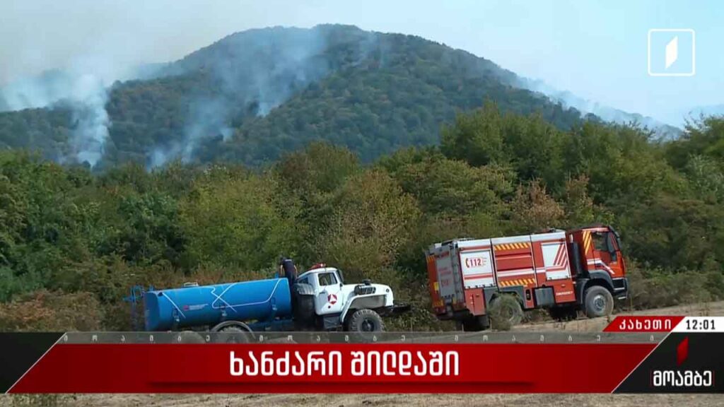 ხანძარი სოფელ შილდის ტყეში