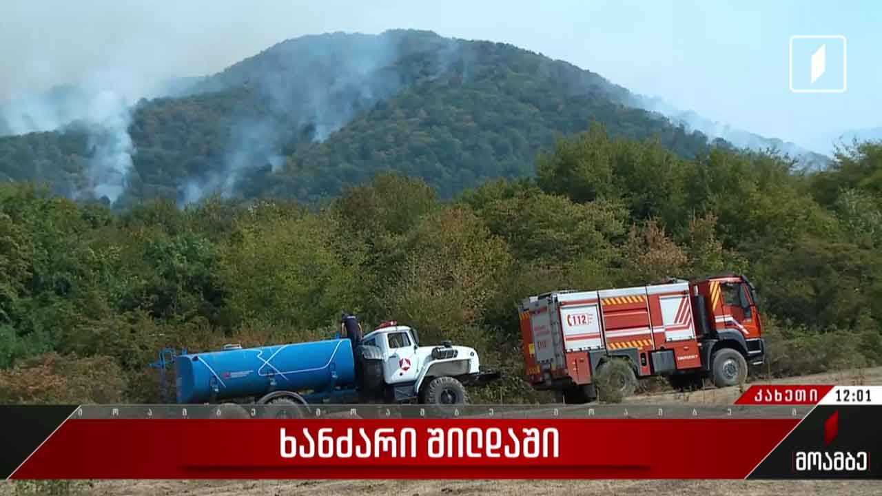 ხანძარი სოფელ შილდის ტყეში