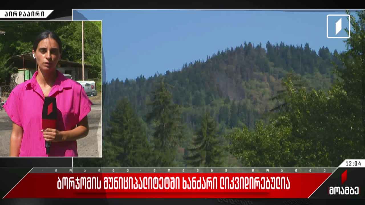 ბორჯომში ხანძარი ლიკვიდირებულია