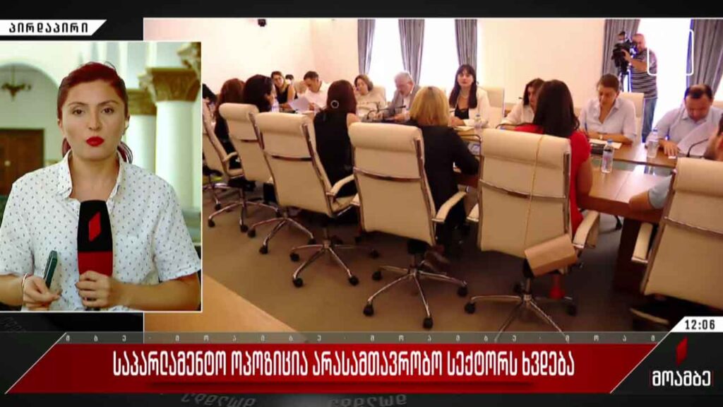 საპარლამენტო ოპოზიცია არასამთავრობო სექტორს ხვდება