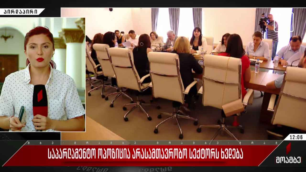 საპარლამენტო ოპოზიცია არასამთავრობო სექტორს ხვდება