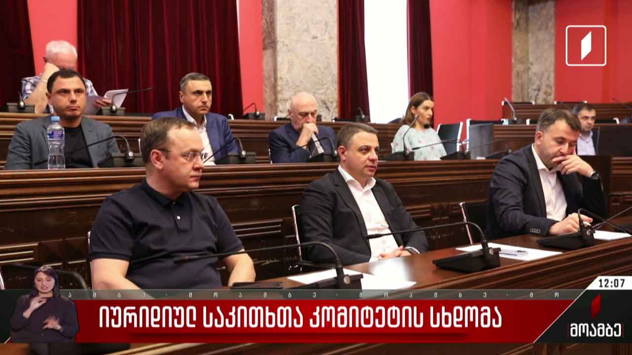 იურიდიულ საკითხთა კომიტეტის სხდომა