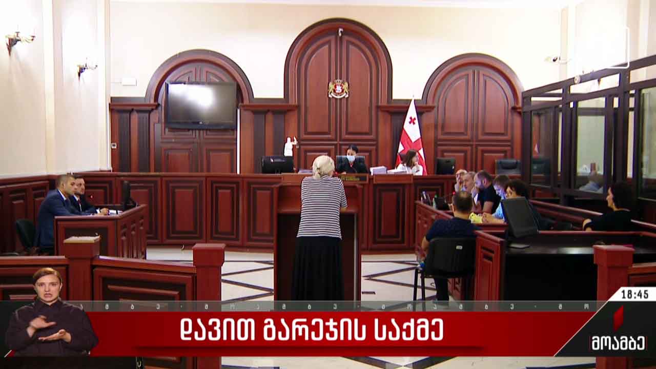დავით გარეჯის საქმე