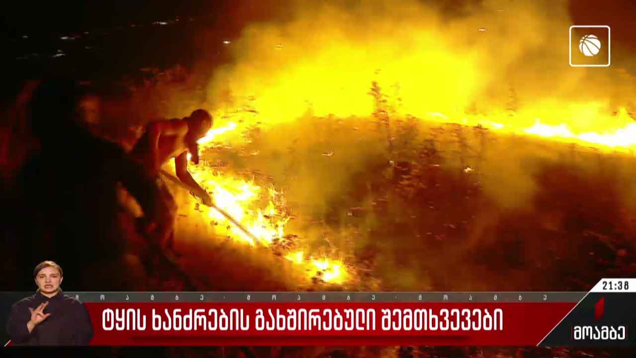 გახშირებული ტყის ხანძრები