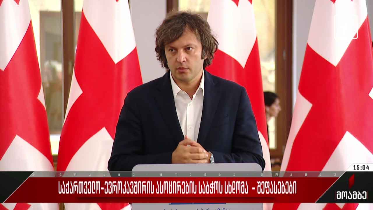 საქართველო-ევროკავშირის ასოცირების საბჭოს სხდომა - შეფასებები