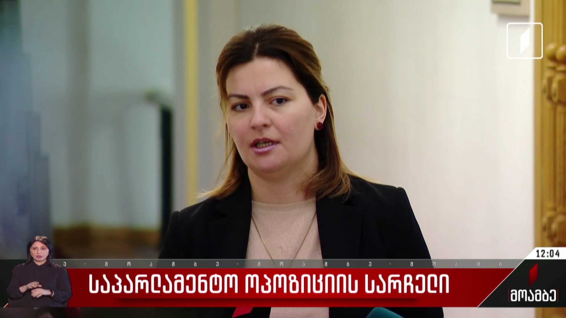 საპარლამენტო ოპოზიციის სარჩელი