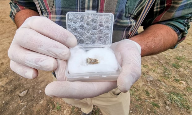 „გარდიანი“ დმანისთან არქეოლოგების მიერ 1,8 მილიონი წლით დათარიღებული უძველესი ადამიანის კბილის აღმოჩენის შესახებ წერს