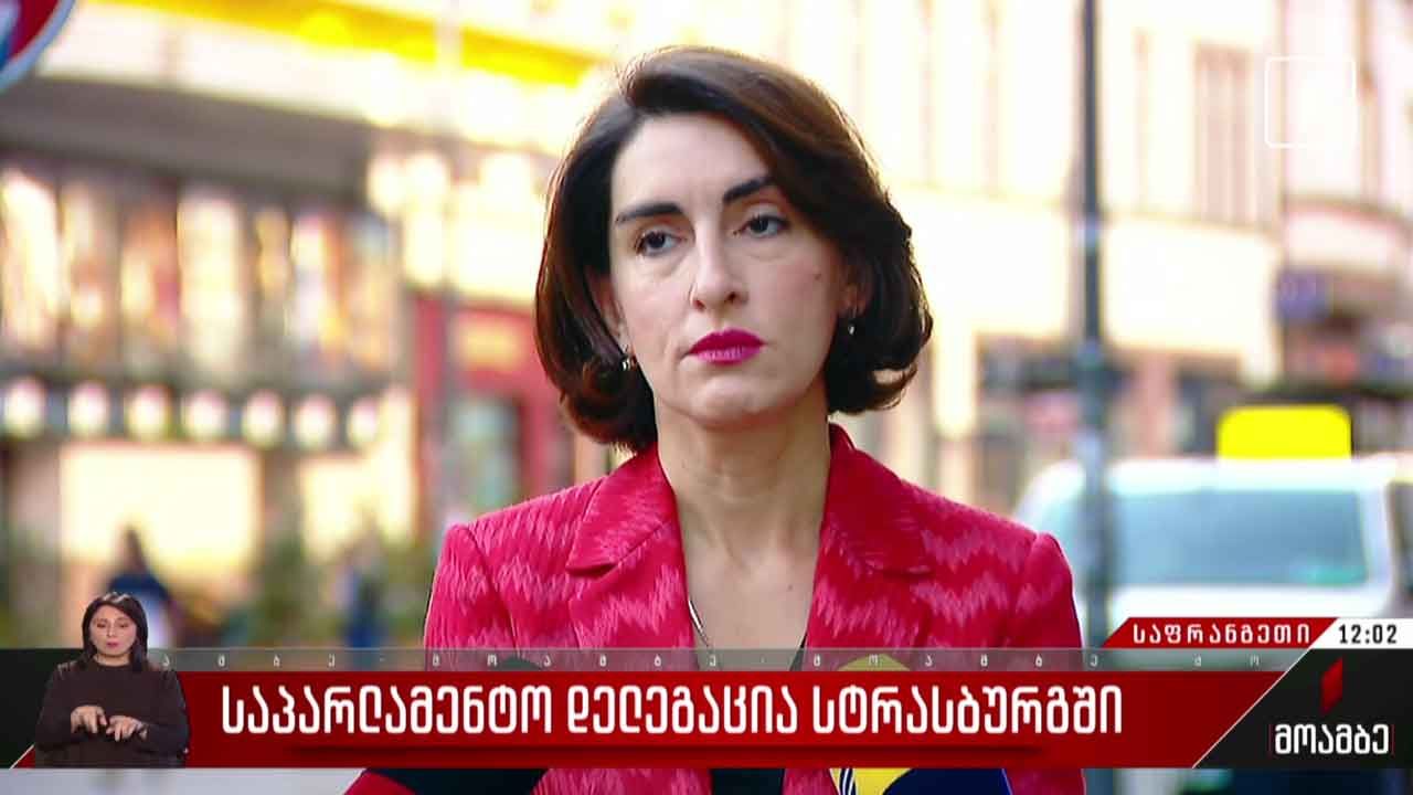 საპარლამენტო დელეგაცია სტრასბურგში