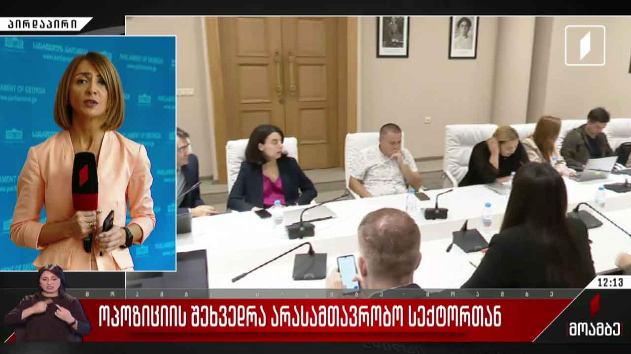 ოპოზიციის შეხვედრა არასამთავრობო სექტორთან