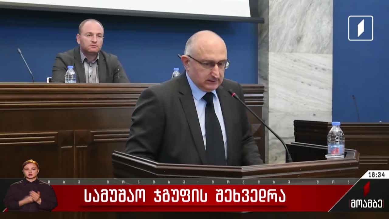 სამუშაო ჯგუფის შეხვედრა