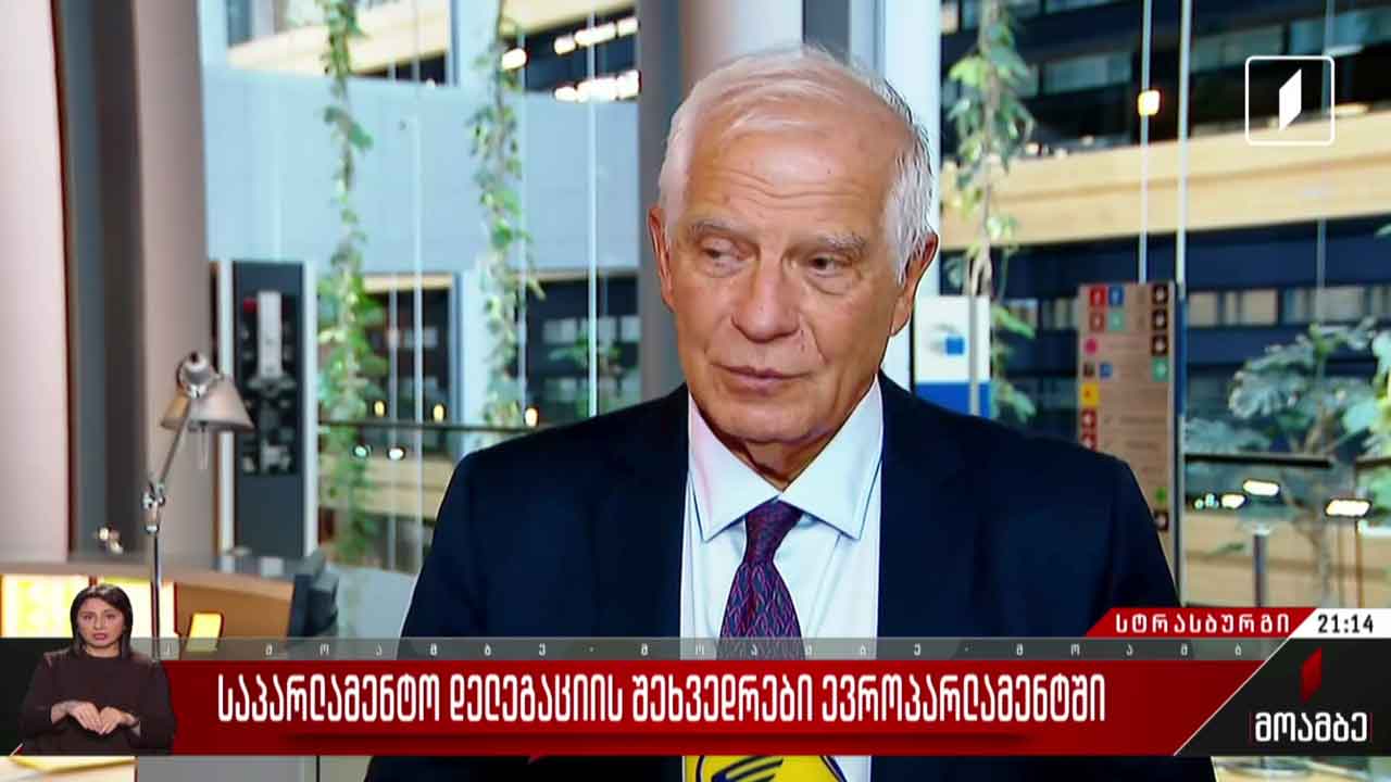 საპარლამენტო დელეგაციის შეხვედრები ევროპარლამენტში