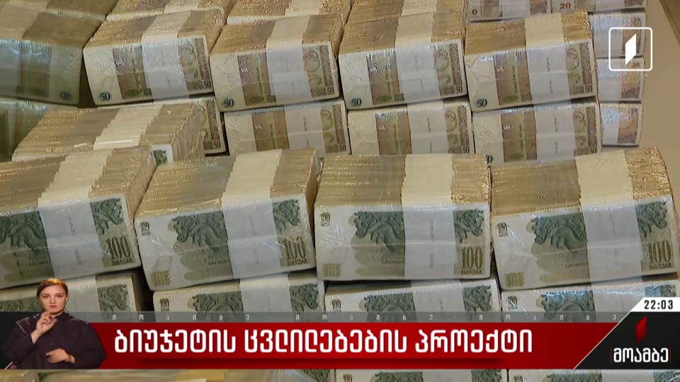 ბიუჯეტის ცვლილებების პროექტი