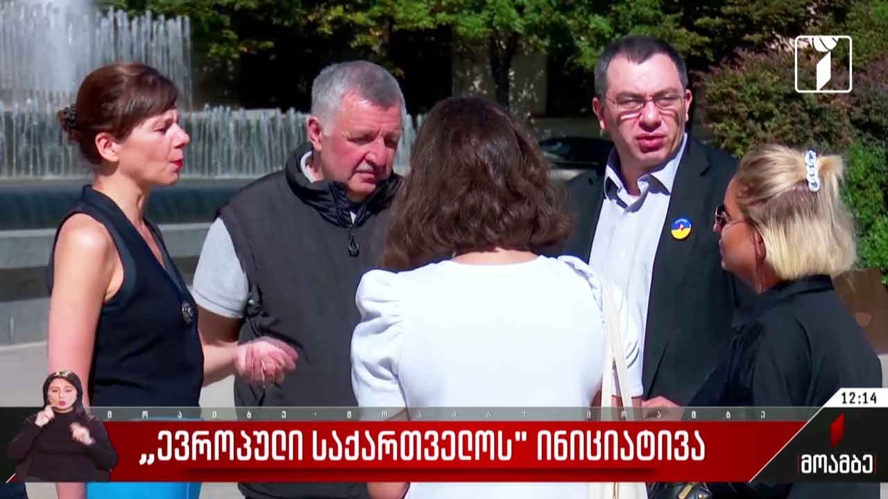 „ევროპული საქართველოს“ ინიციატივა