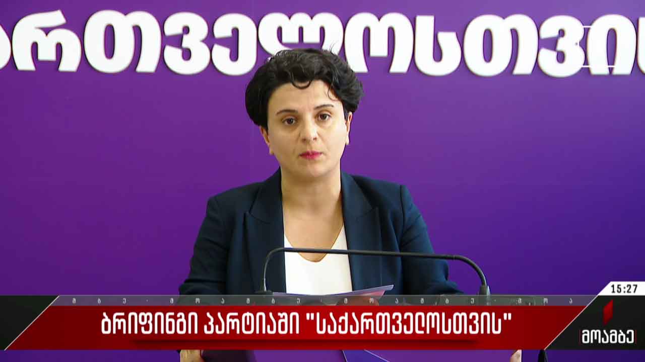 ბრიფინგი პარტიაში „საქართველოსთვის“