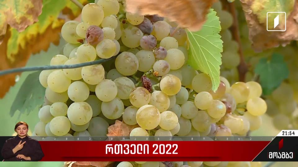რთველი 2022