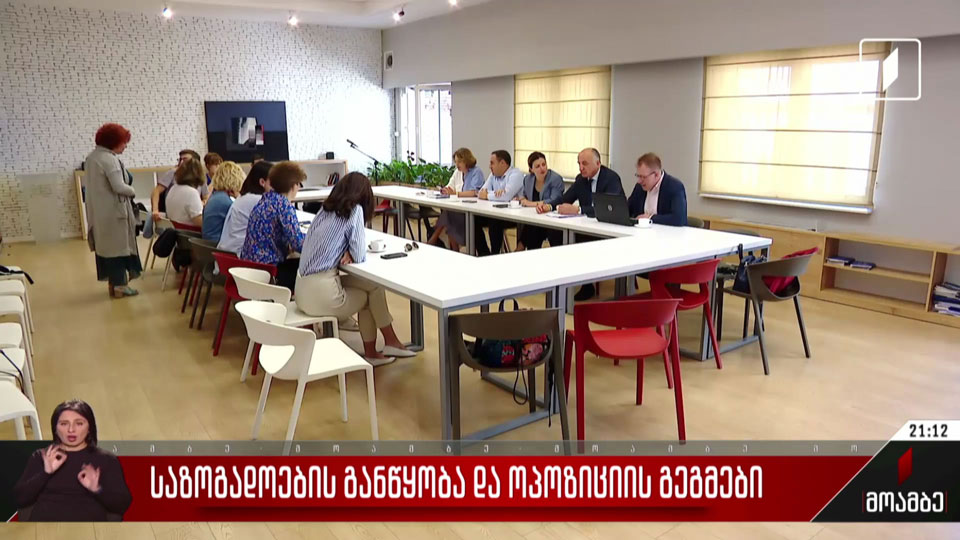 საზოგადოებრივი განწყობა და ოპოზიციის გეგმები