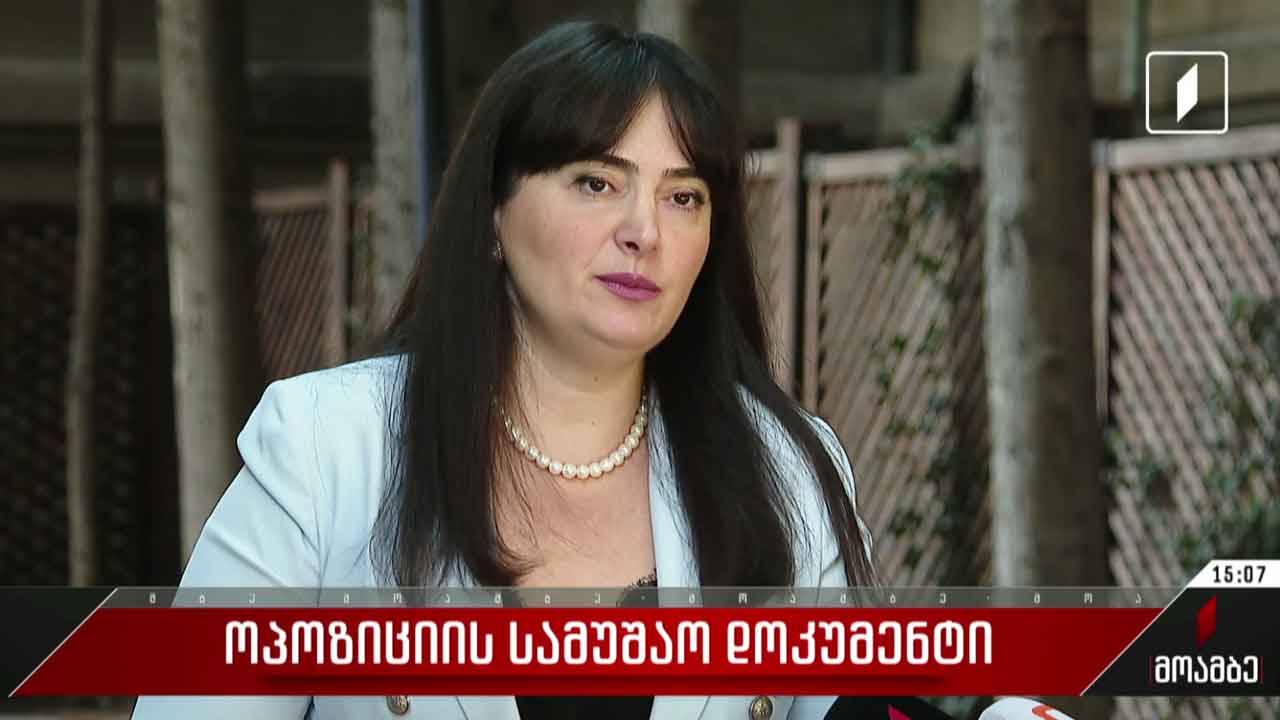 ოპოზიციის სამუშაო დოკუმენტი