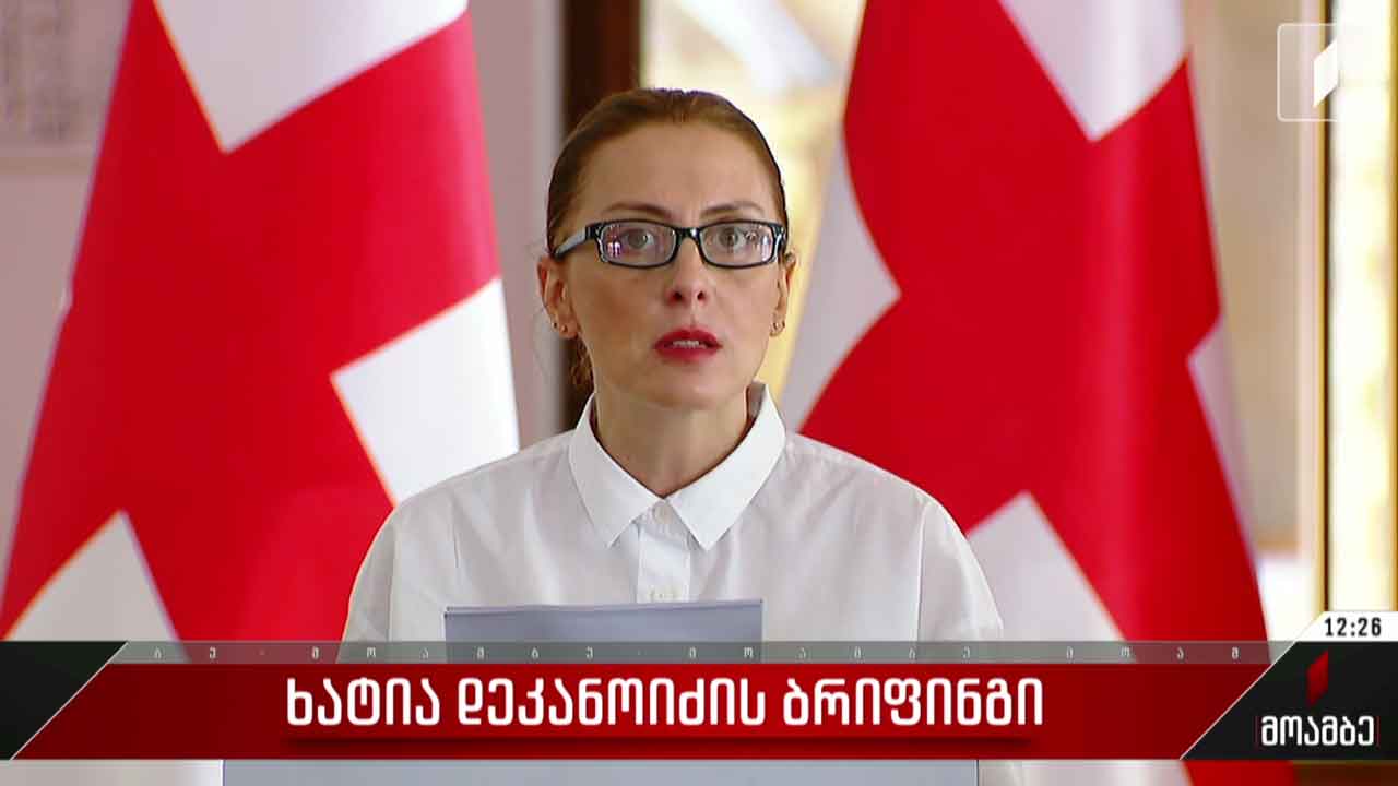 ხატია დეკანოიძის ბრიფინგი