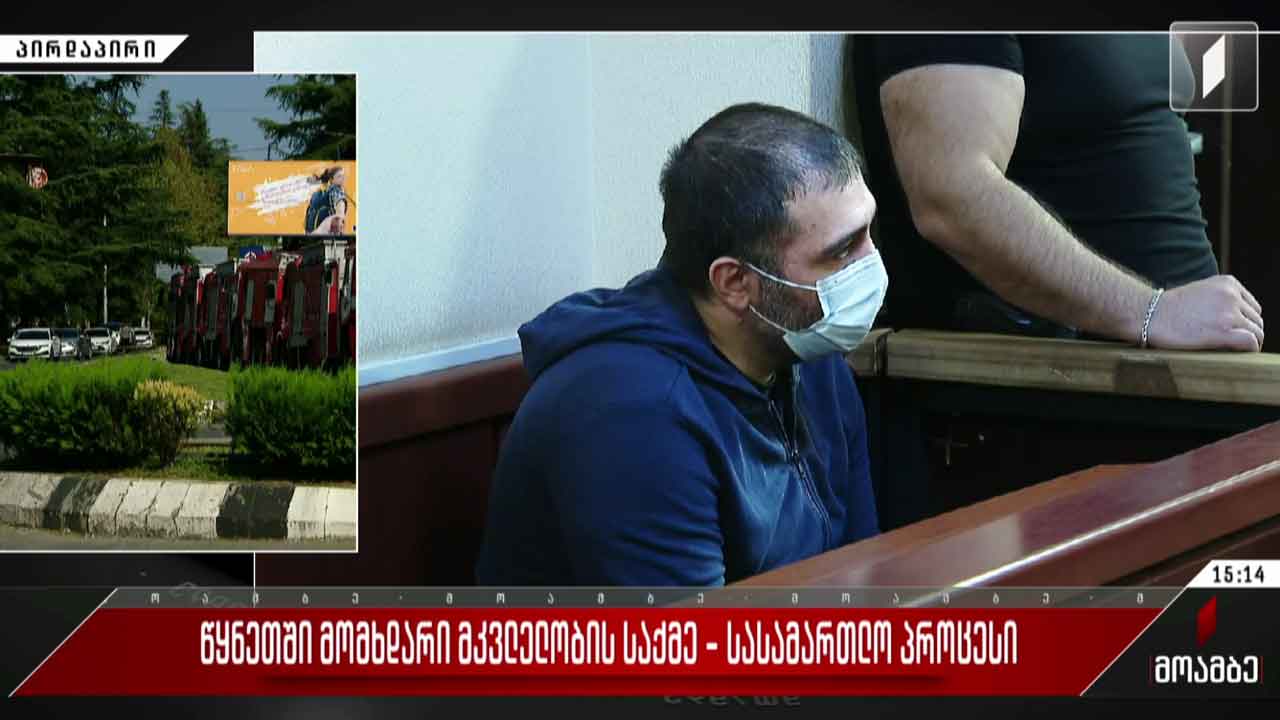 წყნეთში მომხდარი მკვლელობის საქმე - სასამართლო პროცესი