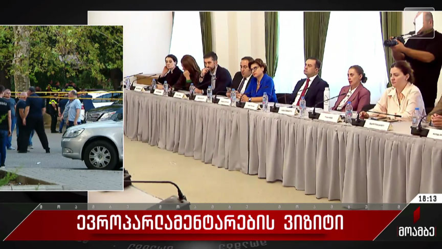 ევროპარლამენტარების ვიზიტი