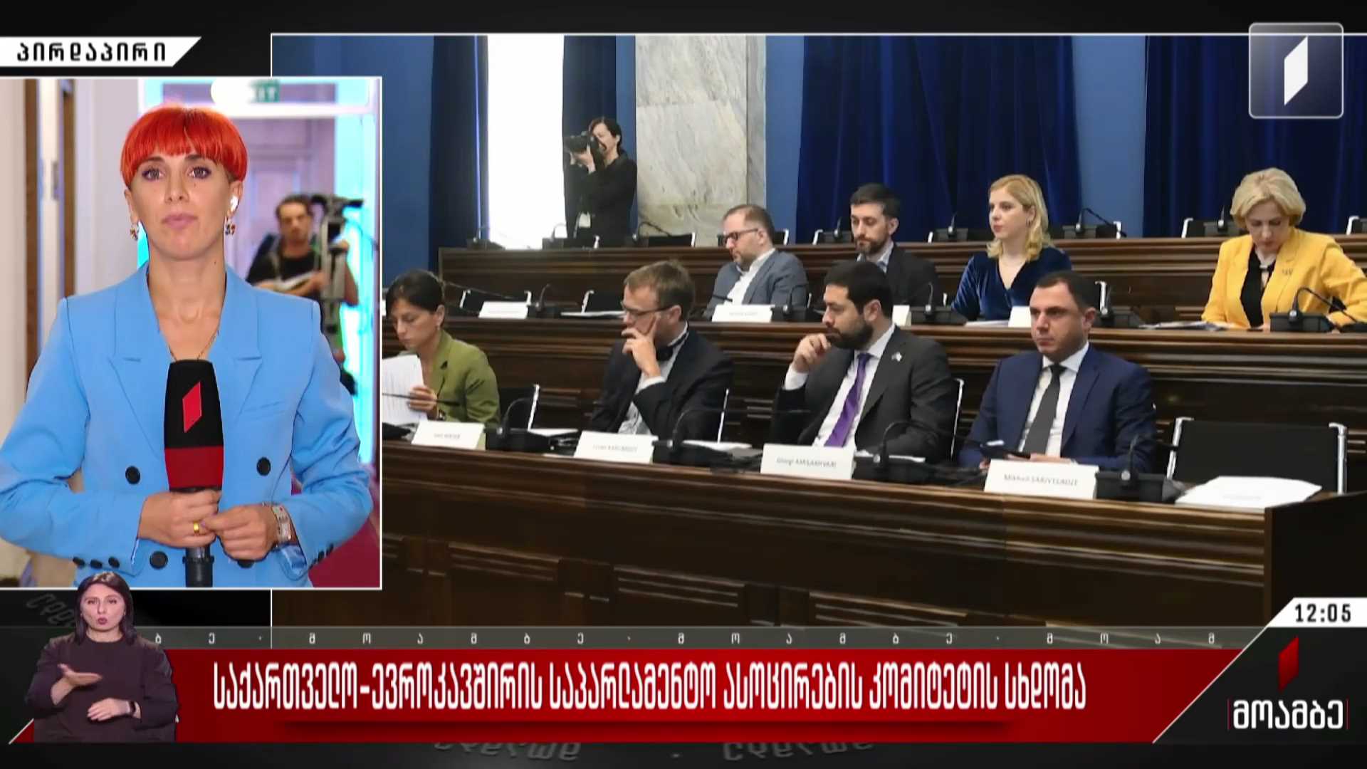 საქართველო-ევროკავშირის საპარლამენტო ასოცირების კომიტეტის სხდომა