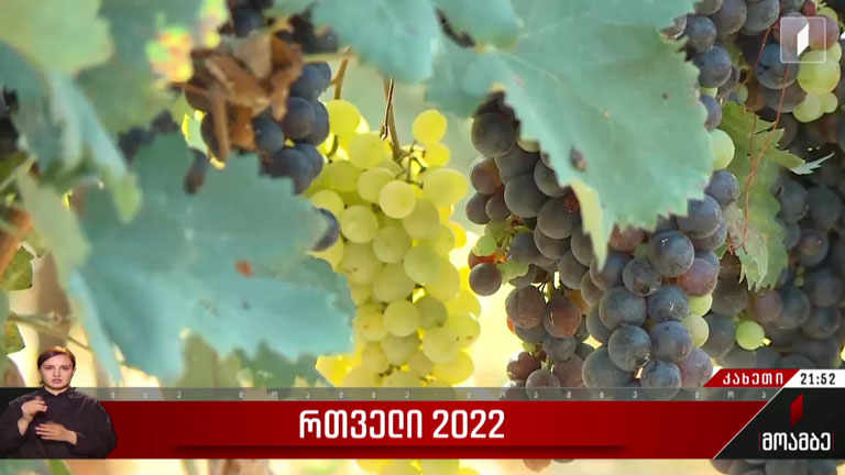 რთველი 2022