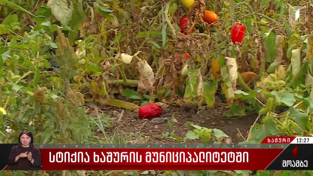 სტიქია ხაშურის მუნიციპალიტეტში