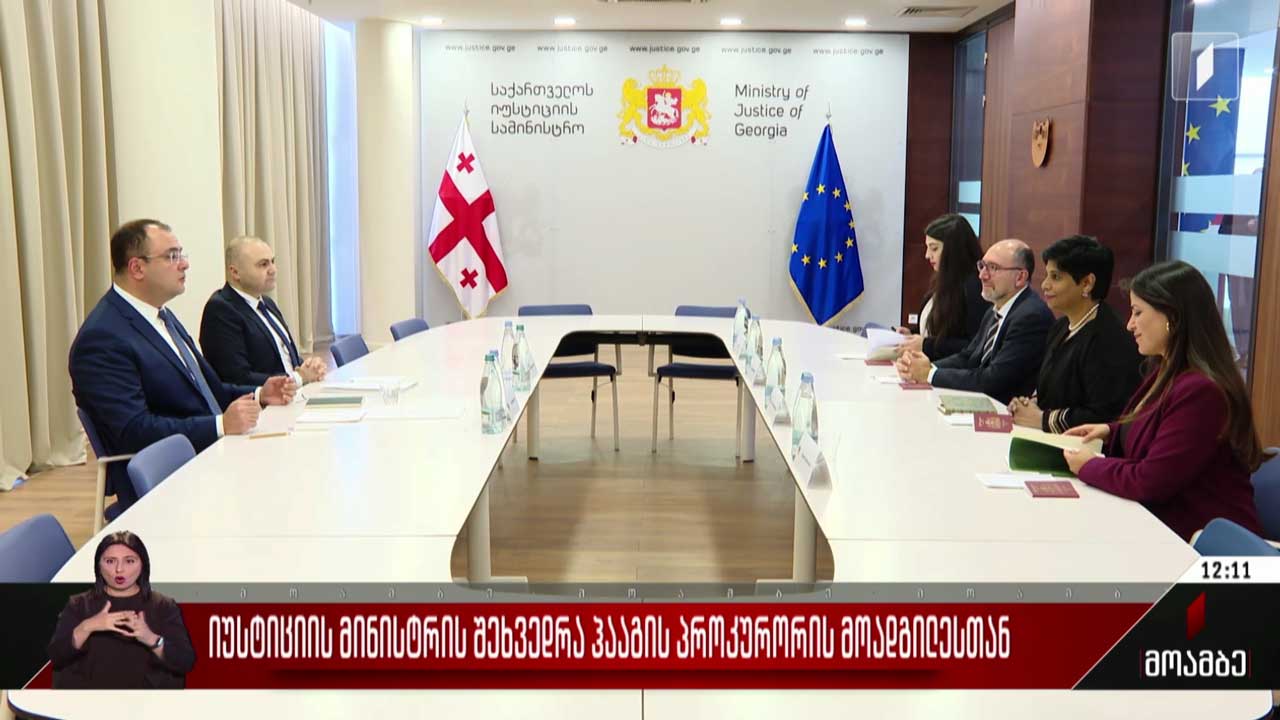 იუსტიციის მინისტრის შეხვედრა ჰააგის პროკურორის მოადგილესთან