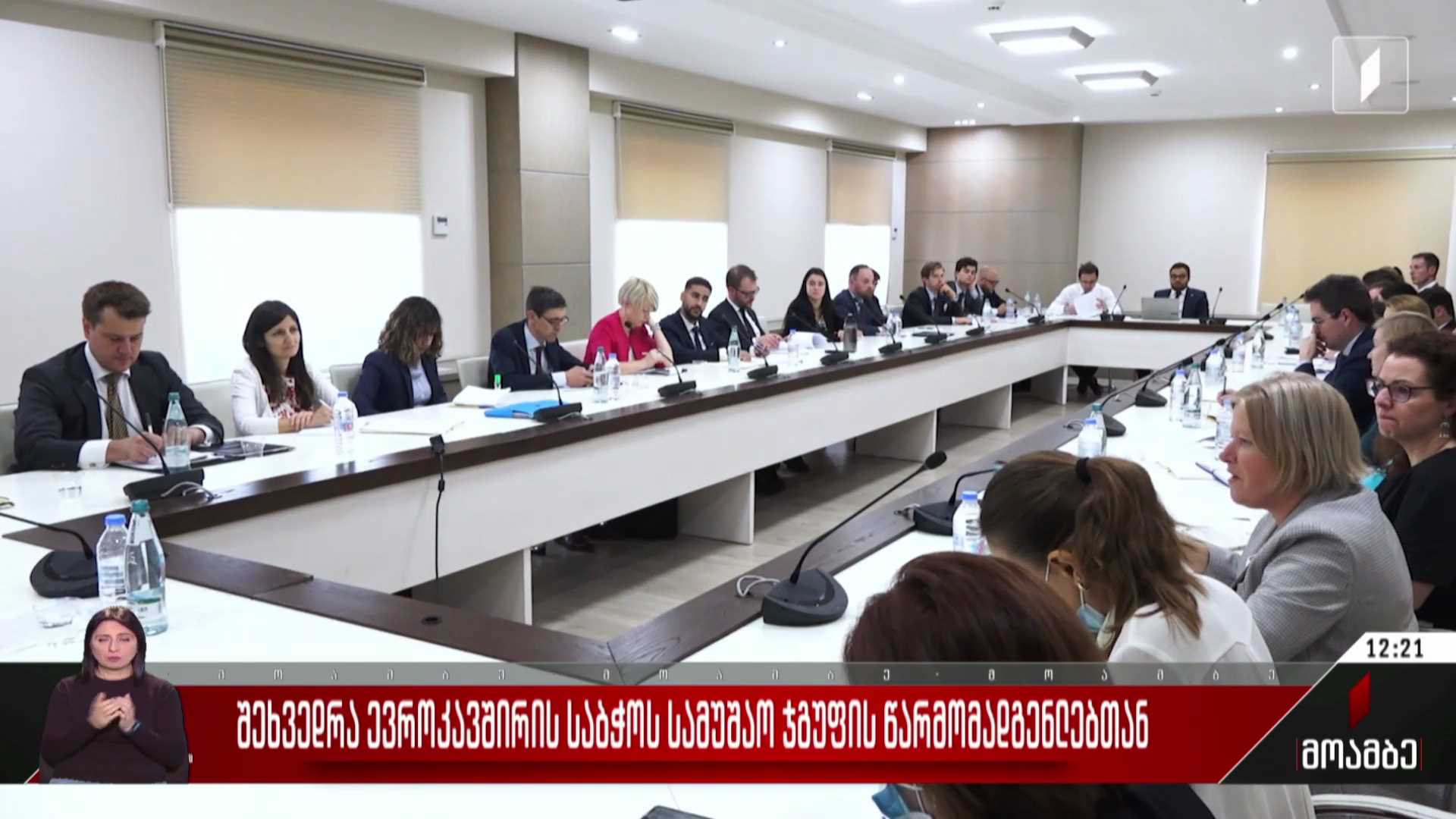 შეხვედრა ევროკავშირის საბჭოს სამუშაო ჯგუფის წარმომადგენლებთან